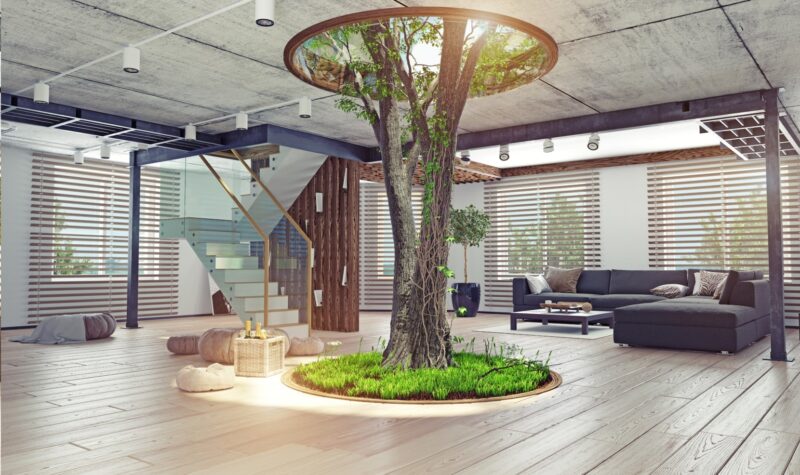 Biophilic Design